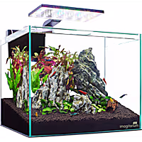 Imagitarium Glass Shrimp & Aquatic Plants Aquarium