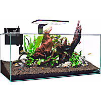 Imagitarium Shallow Glass Shrimp & Aquatic Plants Aquarium