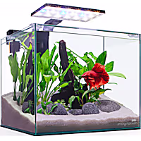 Imagitarium Glass Betta Aquarium Kit