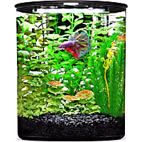 Imagitarium Plastic Cylinder Betta Aquarium