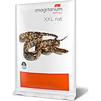 Imagitarium Frozen XXL Rat