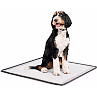 So Phresh Silicone Potty Pad Holder