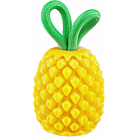 Outward Hound Plant Dog Pineapple Dental Chew Toy and Interactive Treat Stuffer Dog Toys