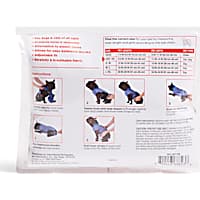 Dog Recovery Cones Surgical Suits Petco
