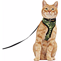 YOULY Camo Mesh Cat Harness