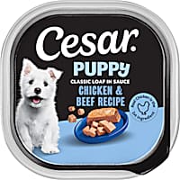 Cesar Puppy Wet Dog Food Classic Loaf in Sauce Chicken & Beef Recipe