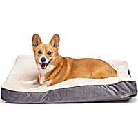 EveryYay Essentials Lounger Dog Bed