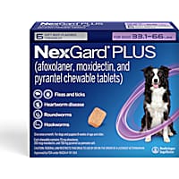 Tick oral medication for dogs sales