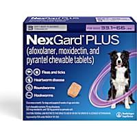 6 month flea pill on sale