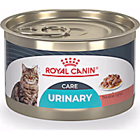 Royal Canin Feline Care Nutrition Urinary Care Thin Slices in Gravy Adult Wet Cat Food