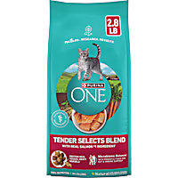 Purina ONE Natural Tender Selects Blend With Real Salmon Dry Cat Food