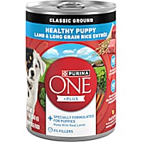 Best canned dog deals food with grain