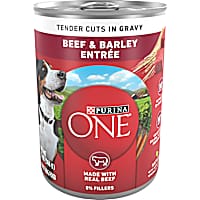 Purina ONE Tender Cuts in Gravy Beef and Barley Entree in Wet Dog Food Gravy