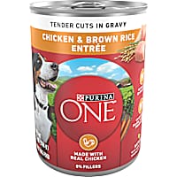 Purina ONE Tender Cuts in Gravy Chicken and Brown Rice Wet Dog Food