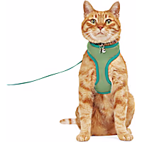 YOULY Updated Mesh Cat Harness & Leash Set