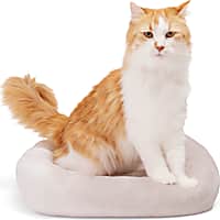 EveryYay Gray Rectangle Lounger Cat Bed