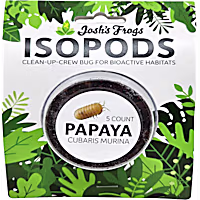 Assorted Isopod Culture