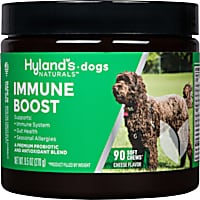 Dog Cold Kennel Cough Treatments Petco