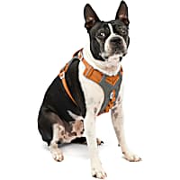 Kurgo Orange Journey Air Vest Dog Harness Small Petco