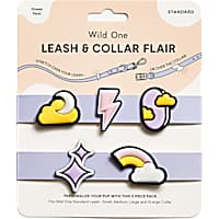 Wild One Leash and Collar Flair in Groovy