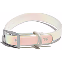 Wild One Holographic Dog Collar