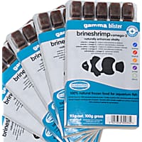 Petco frozen bloodworms new arrivals