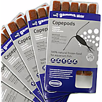 Tropical Marine Centre Gamma Frozen Food Copepod Blister Pack Fish Food