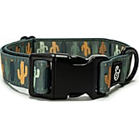 Lucy & Co. The Looking Sharp Dog Collar