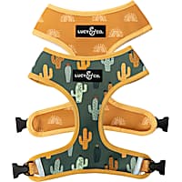 Lucy & Co. The Looking Sharp Reversible Dog Harness