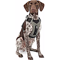 Kurgo Journey Air Dog Harness
