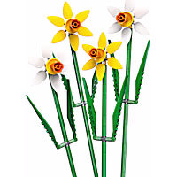 LEGO Iconic Daffodils Building Gift 40747
