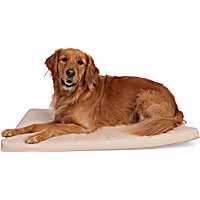 EveryYay Tan Durable Dog Mat