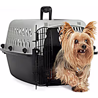 EveryYay Portable Plastic Pet Kennel