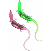 Playology Lizards with Bugs Cat Toy