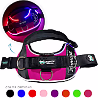 Joyride Harness NightSafe LED Light Up Dog Harness 2.0