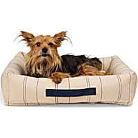 EveryYay Stripe Cuddler Dog Bed