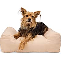 EveryYay Orthopedic Cuddler Dog Bed