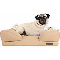 Reddy Indoor/Outdoor Dog Bed