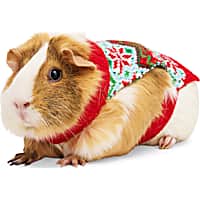 Small Animal Clothes Leashes Rabbits Guinea Pigs Petco