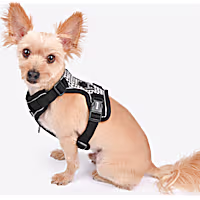 Puppia Conall Dog Harness H