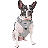 Puppia Jarek Dog Harness H