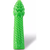 Outward Hound Green Dental Asparagus Dog Toy