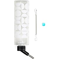EveryYay Small Animal Printed Water Bottle