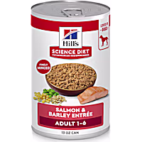 Hill's Science Diet Adult Salmon & Barley Entree Wet Dog Food