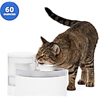 PetSafe Outlast Pumpless Pet Fountain for Cat Bowl