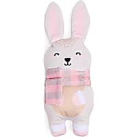 Petco Plush Bunny with Scarf Dog Toy