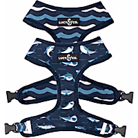 Lucy & Co. The Shark Attack Reversible Dog Harness