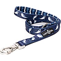 Lucy & Co. The Shark Attack Dog Leash