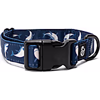 Lucy & Co. The Shark Attack Dog Collar