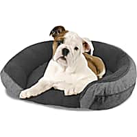 Arlee Pet Products Canine Creations Step In Orthopedic Chew Resistant Eco-Friendly Dog Bed